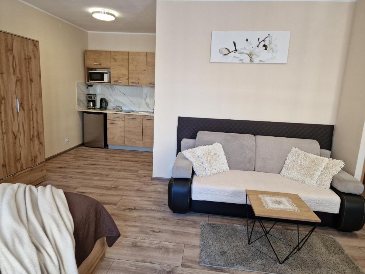 Aparthouse Apartamenty Centrum - In The City Center Near The Train Station Κατοβίτσε Εξωτερικό φωτογραφία